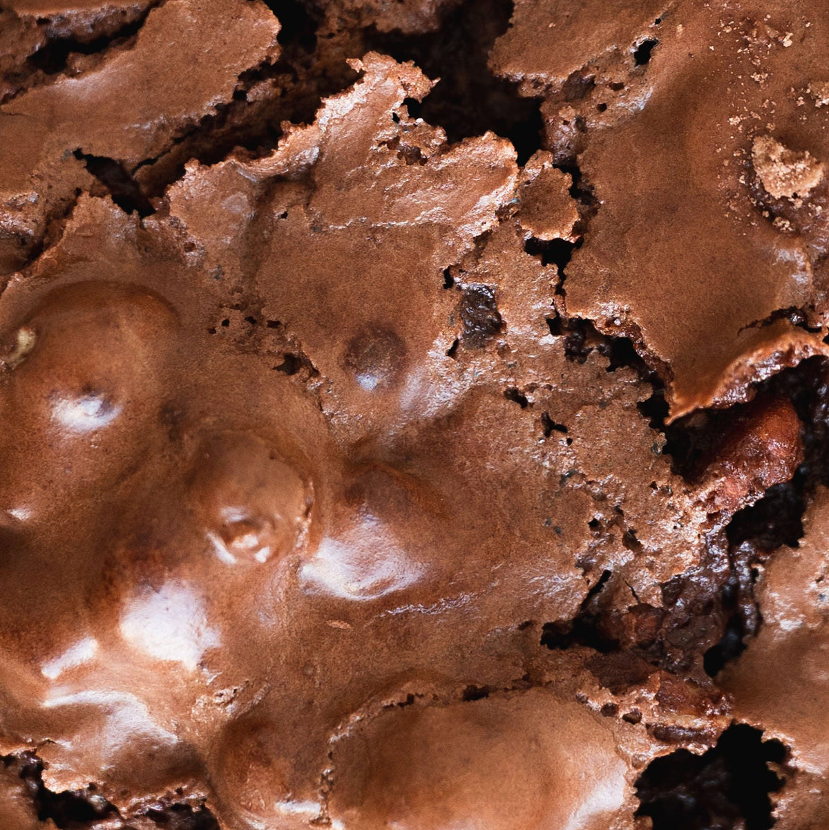 Galleta Brownie