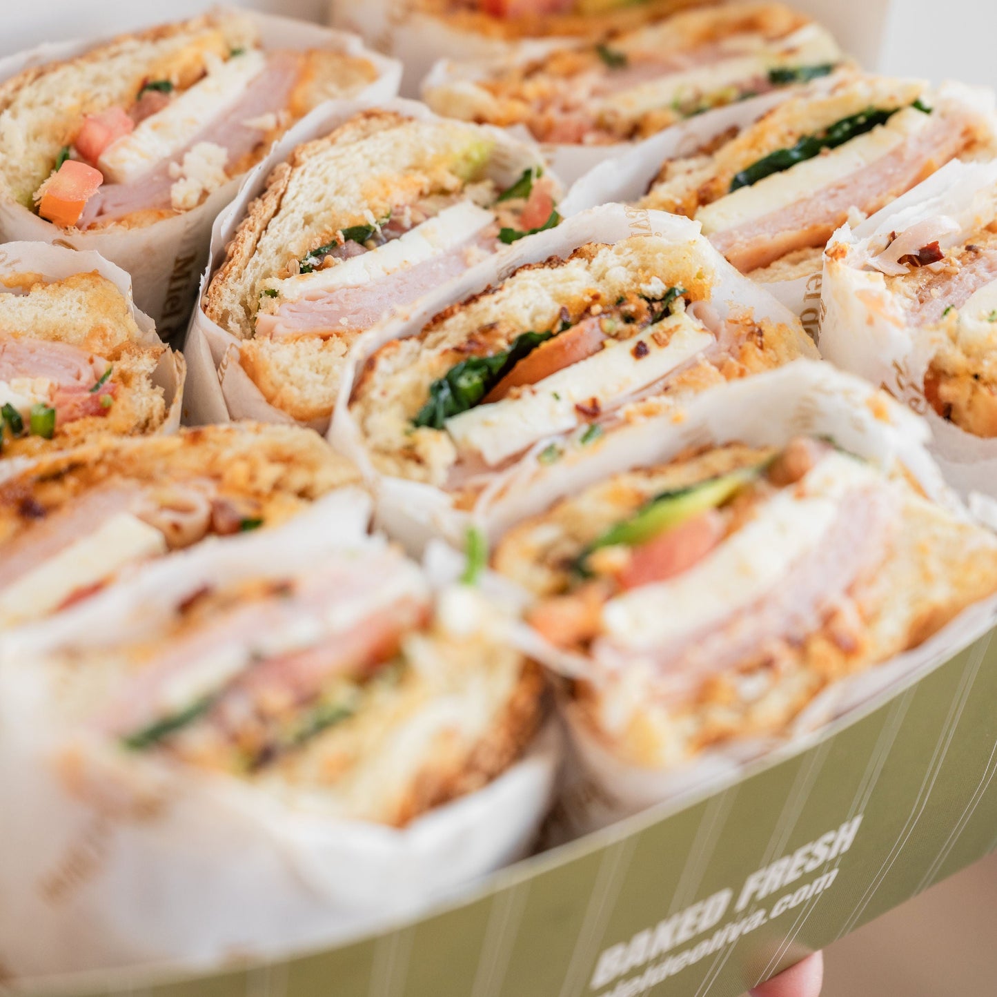 Panini box (12 pz)