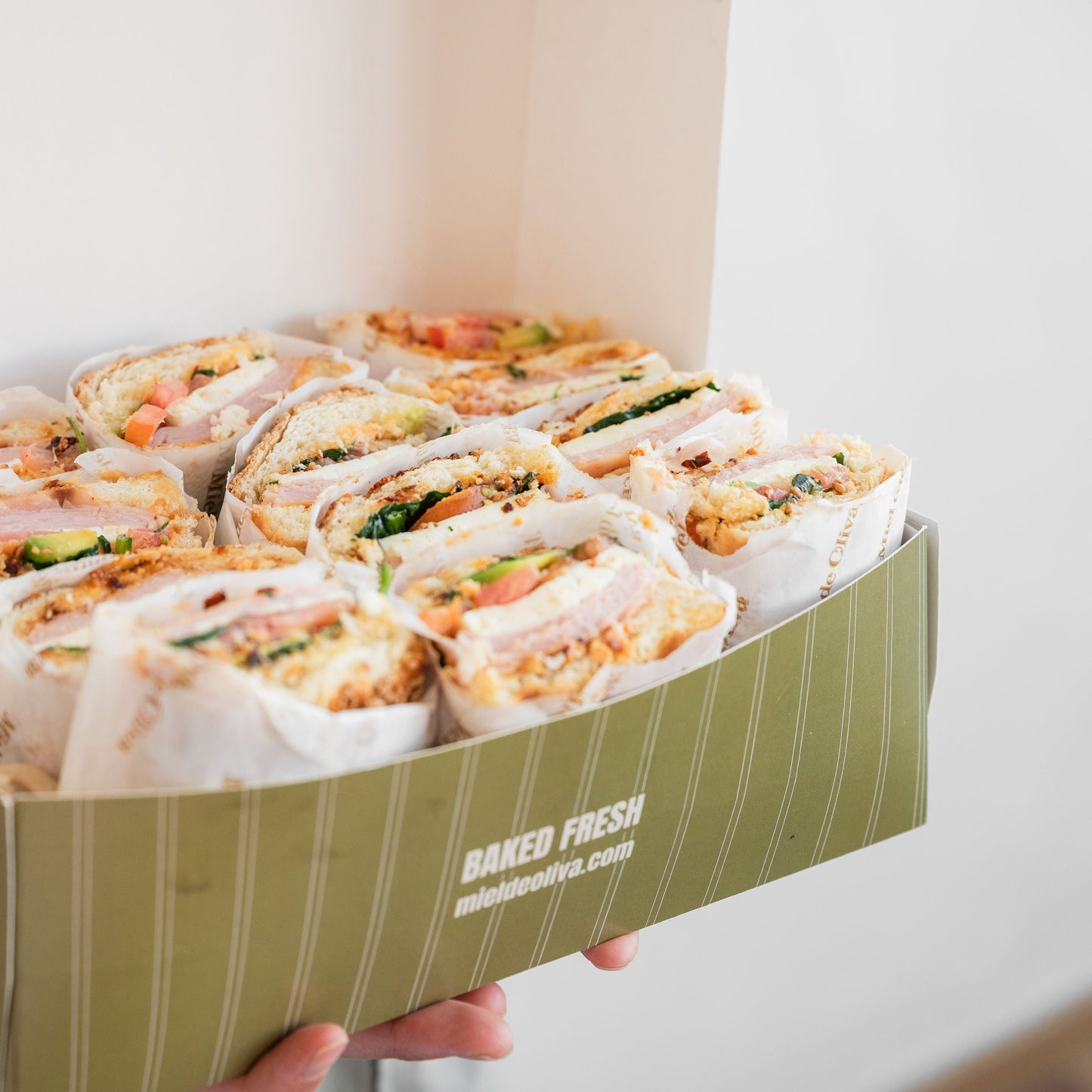 Panini box (12 pz)