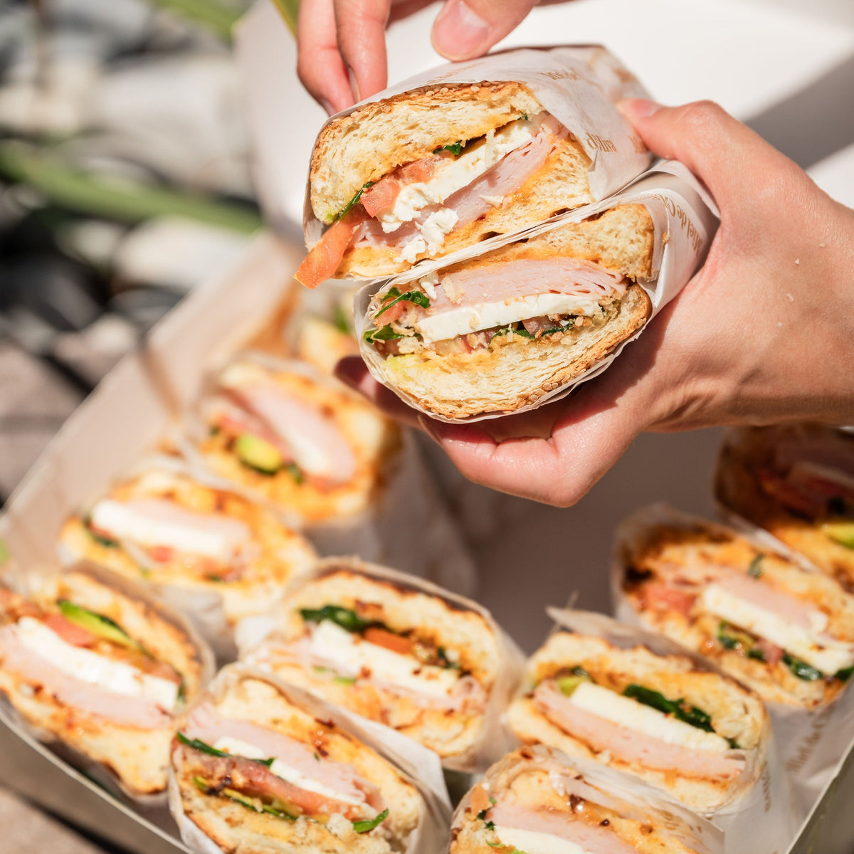 Panini box (12 pz)