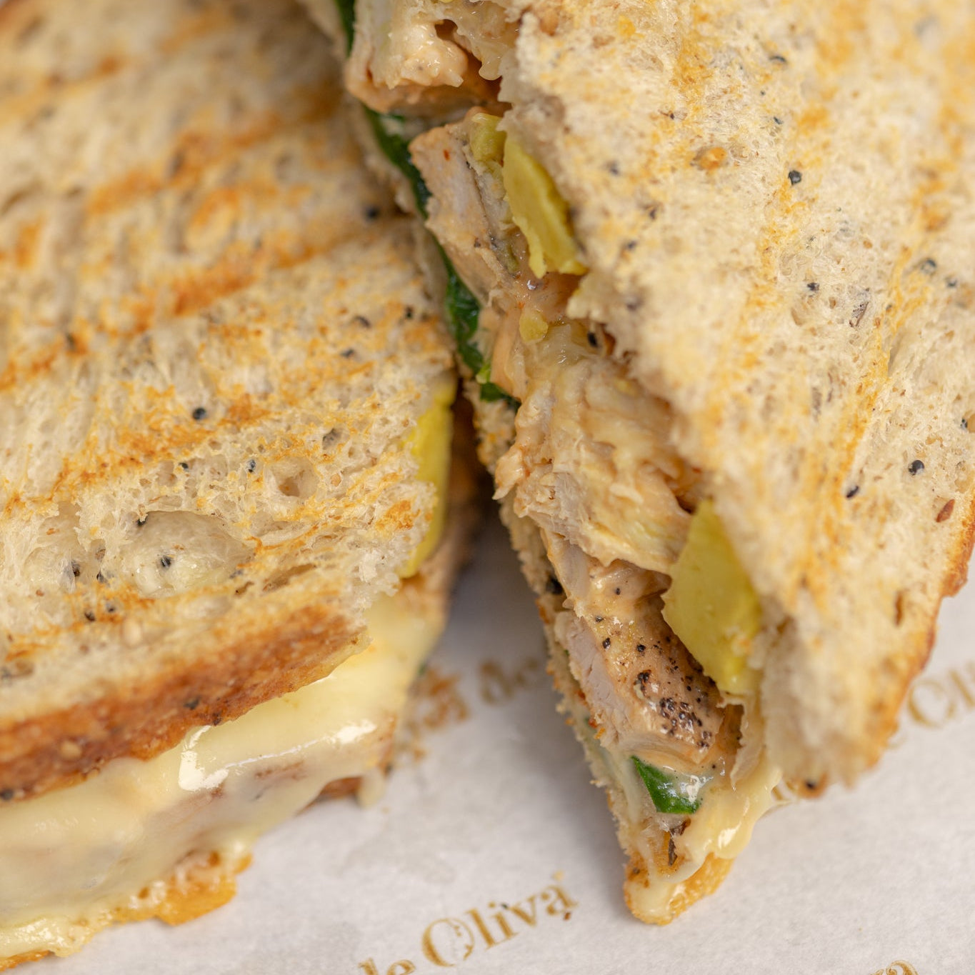 Panini de pollo